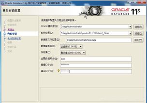 Oracle 11g 在錯誤 ora-12514 上的處理與優化——源自2019年網絡設備攻編項目的技術體驗